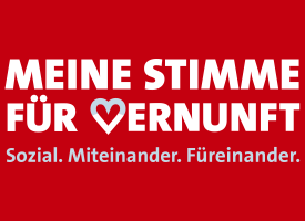 Meine Stimme für Vernunft - unsere Videos